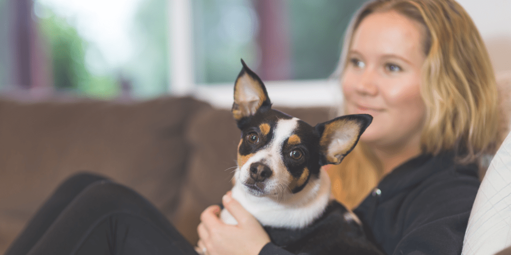 Sit, Stay, Watch: The Best Dog Movies for a Cozy Saturday with Your Canine&nbsp;Companion